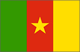 impression drapeau publicitaire pays Cameroon-national-flag-sm