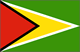 impression drapeau publicitaire pays Guyana-national-flag-sm