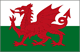 impression drapeau publicitaire pays Wales-national-flag-sm